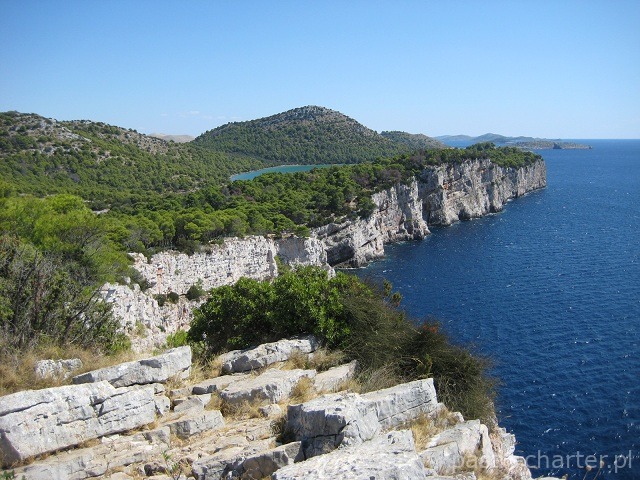 Zielona